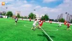 sân bóng đầm hồng 1
