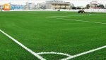 Sân bóng Hồng hà