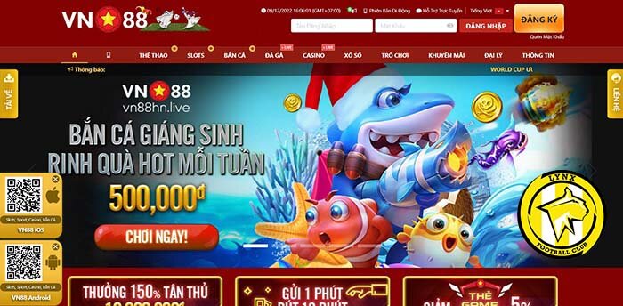 ứng dụng cá cược bóng đá