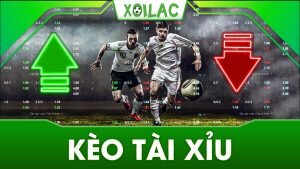 Kèo tài xỉu – tìm hiểu ngay cùng các chuyên gia